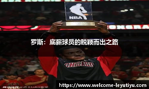 leyu乐鱼体育官网